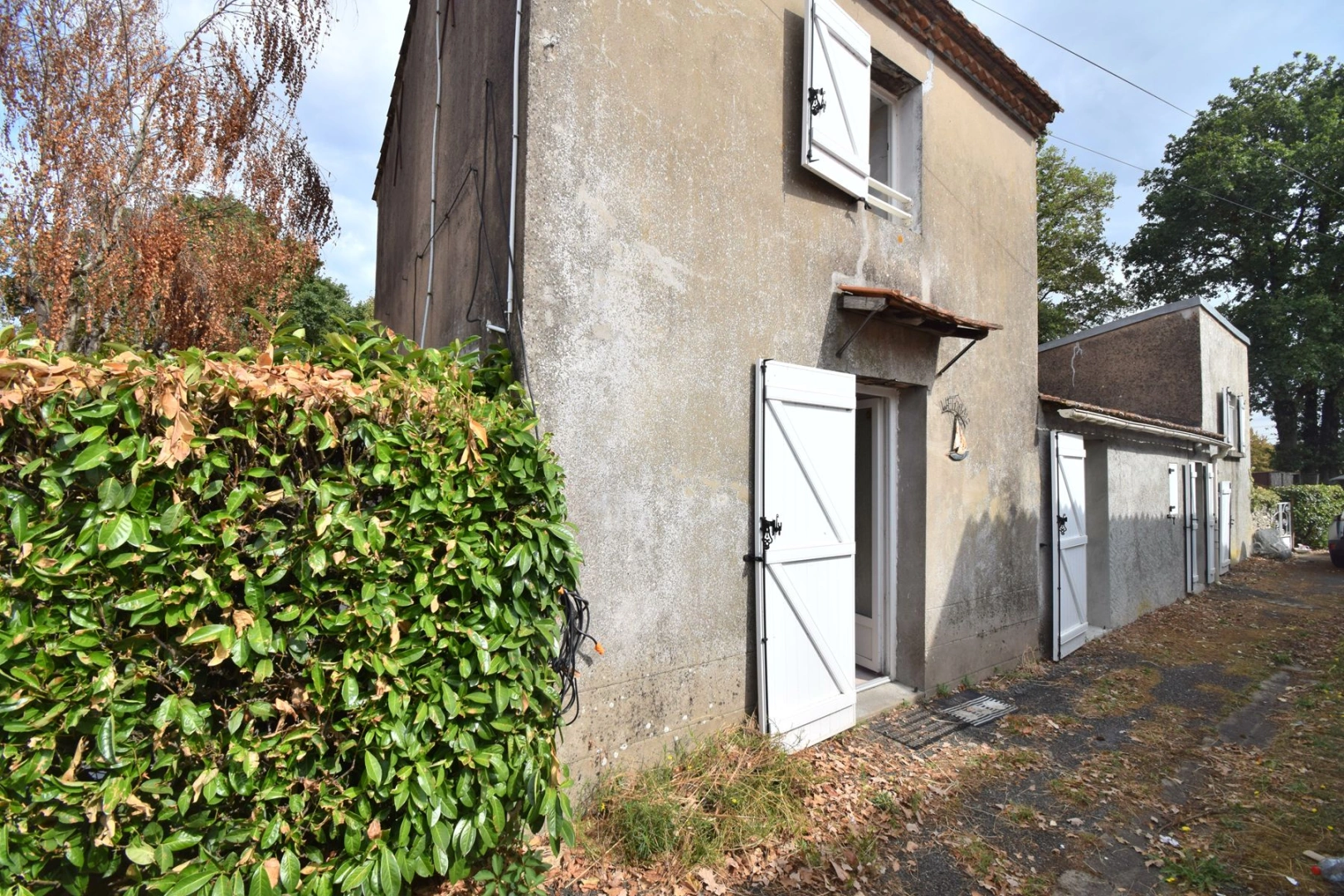 property